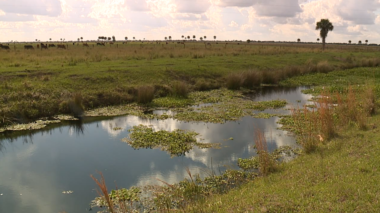 Buck Island Ranch WFTS 2.png