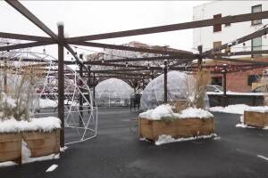 Dining Domes Top Hat