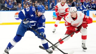 Red Wings Lightning Hockey