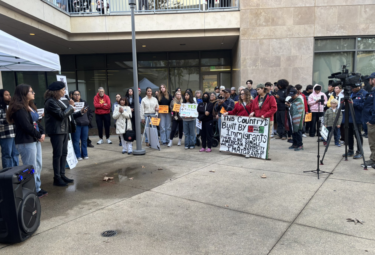 vista sanctuary city policy