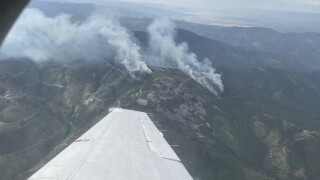 Deer Fire