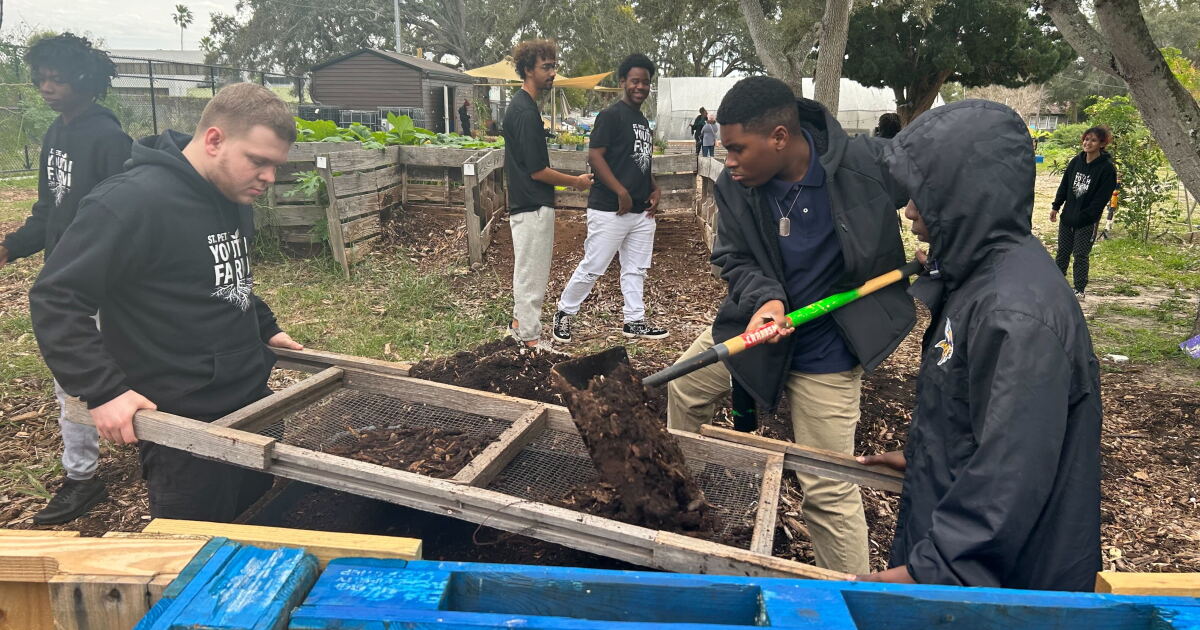 St. Pete Youth Farm pursues its own dreams in honor of Dr. King - Vimarsana News