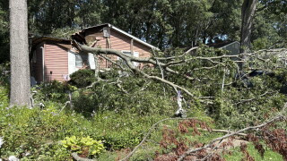 Storm damage Anne Arundel County 
