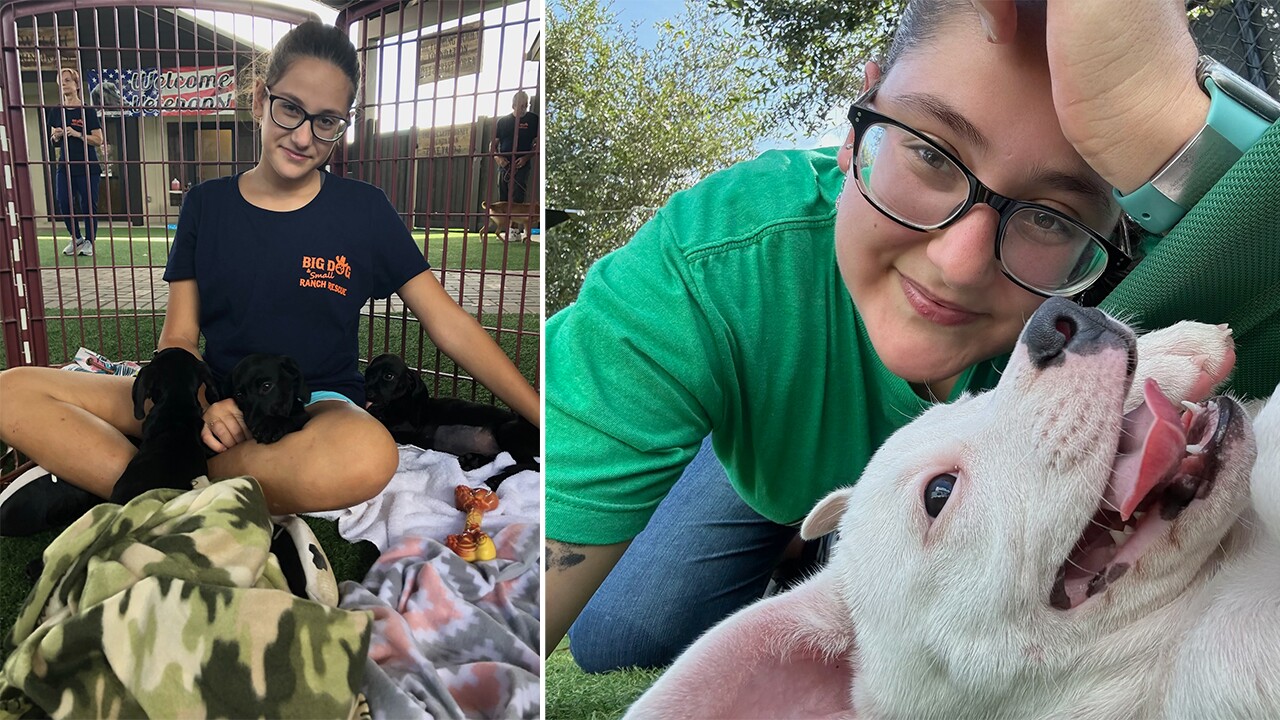 Brain cancer survivor Jaime Kippenberger, 19, volunteers with local animal organizations.jpg