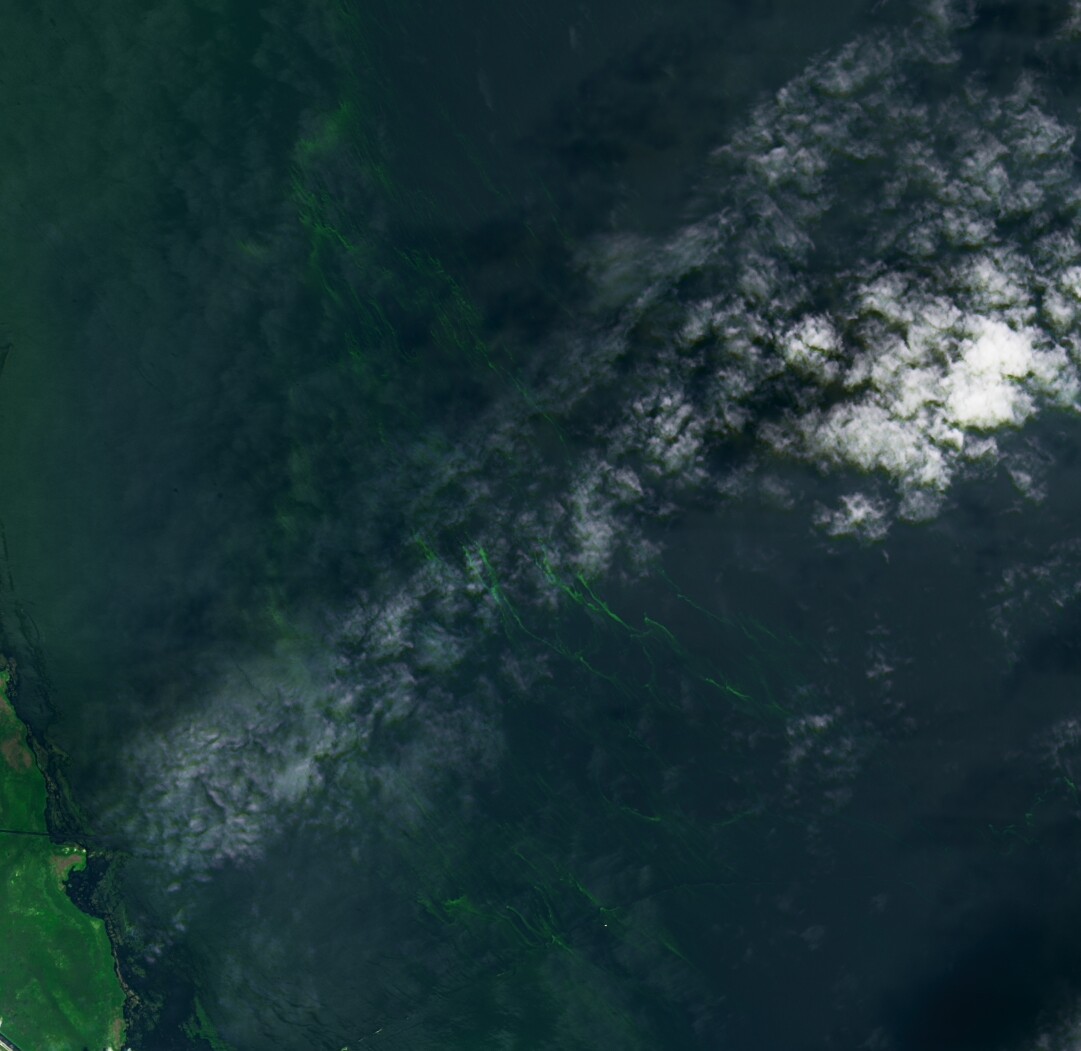 NASA Lake O July 3 from Landsat 8