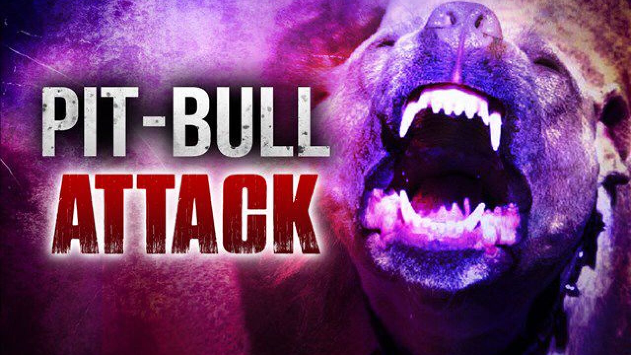 pitbull owner explains attack on child