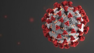 coronavirus.jpg