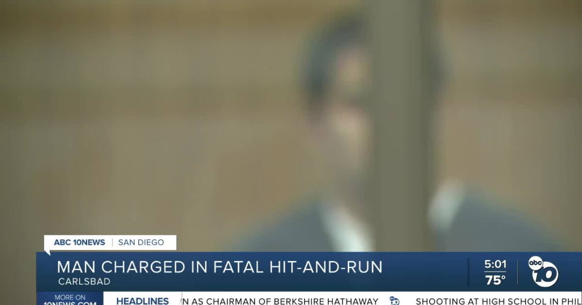 Man accused of killing Carlsbad woman in hit-and-run charged with murder, pleads not guilty