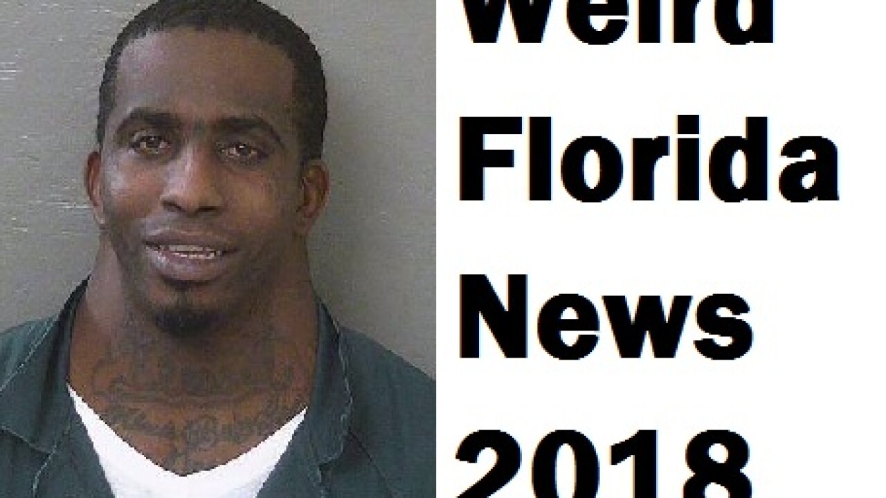 Florida News Top Weird News Stories From The Sunshine State In 2018