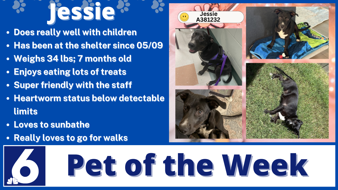 Pet of the Week: Jessie