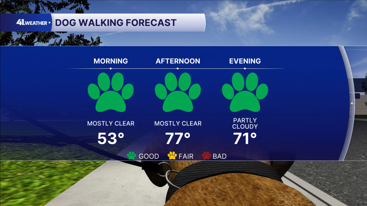 Dog Walking Forecast