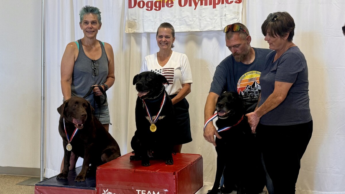 Kalispell's 2nd annual Pet Fest brings together animal lovers, shelters, and loc...