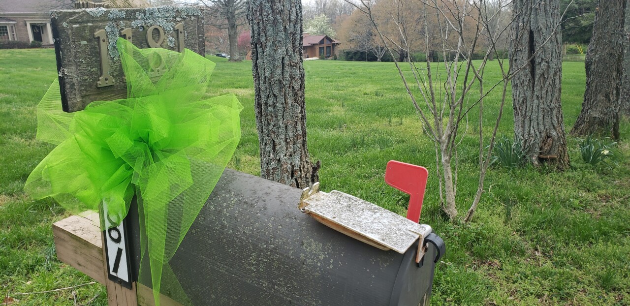 green bows 2.jpg