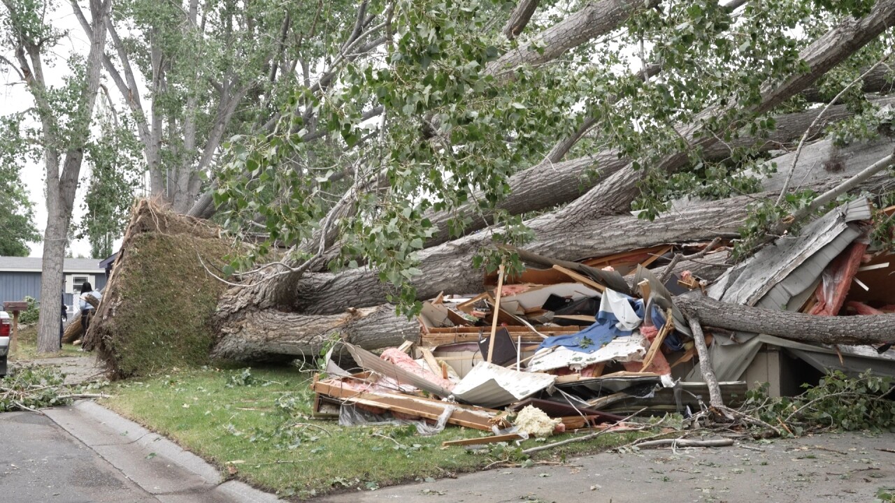 NEIGHBOR HOUSE_2.31.1.jpg