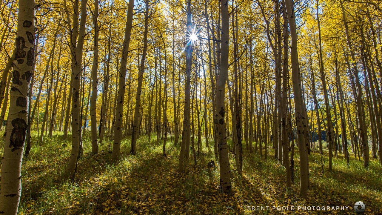 Kenosha Pass Trent Poole.jpg