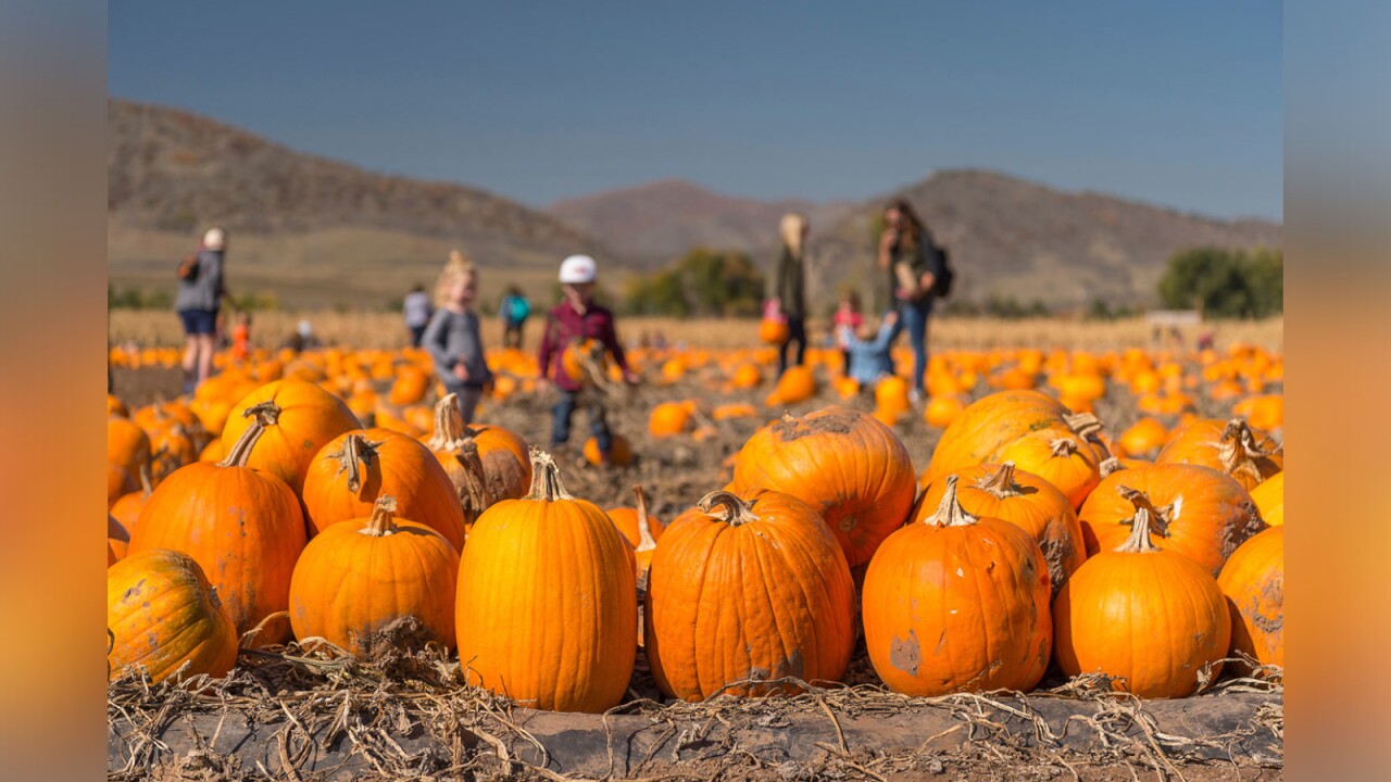 Denver Botanic Gardens at Chatfield Farms