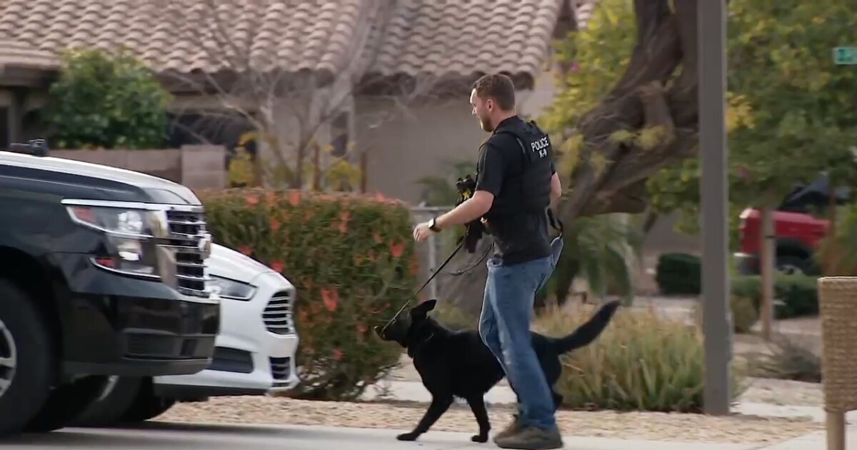 Three teenagers arrested in connection to two alleged assaults in Gilbert - Vimarsana News