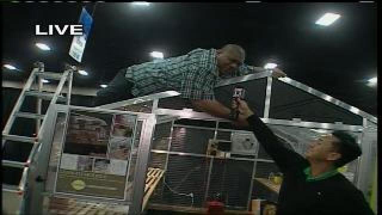 Big Budah tests greenhouse’s stability
