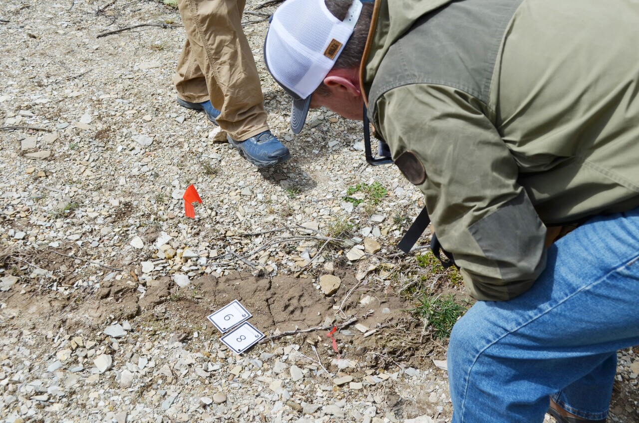 A range rider examines an animal track during the 2026 training in Mesa County. 
