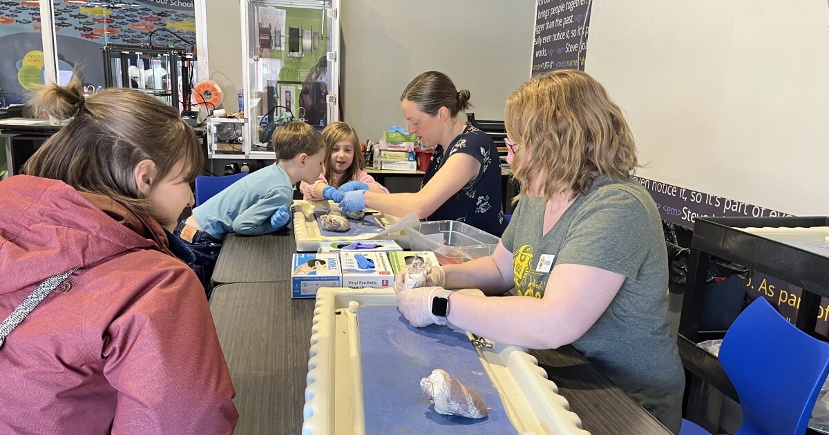 Helena's ExplorationWorks gets to the "heart" of biology to teach kids - Vimarsana News