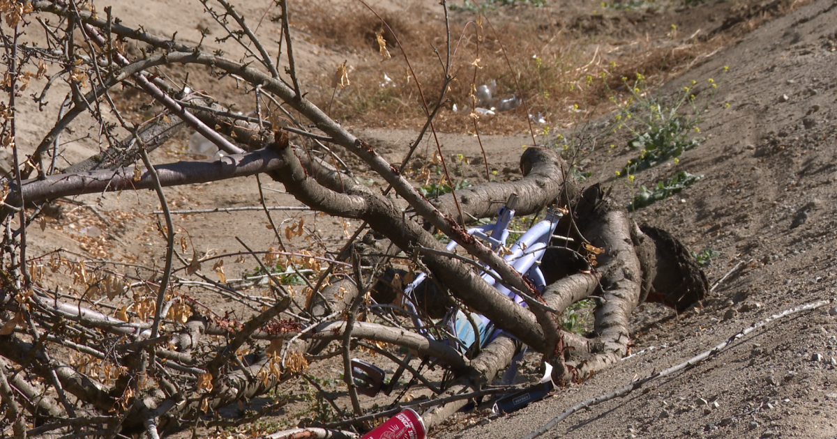 Shafter Street Trash: Let's get it picked up - Vimarsana News