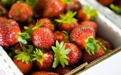 36th annual Pungo Strawberry Festival to take place over Memorial Weekend
