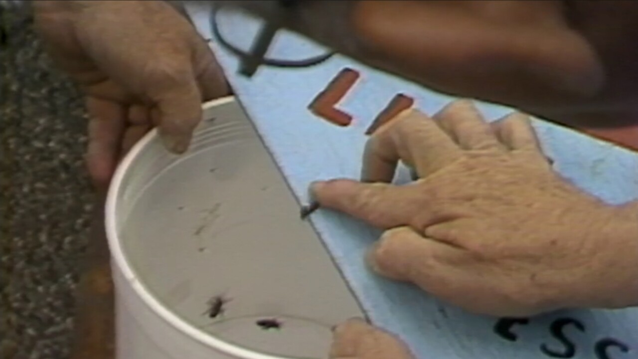 Screen Shot 2024-07-03 at 4.28.10 PM.jpg