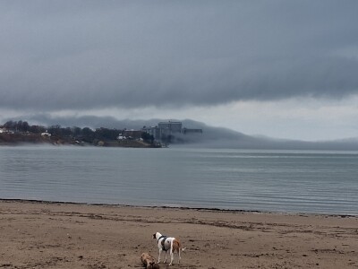 Edgewater shelf cloud 