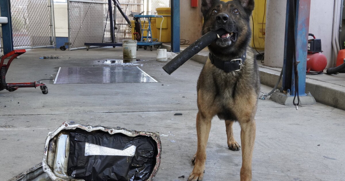 CBP Officers and K9 Teams found hidden drugs in car compartment