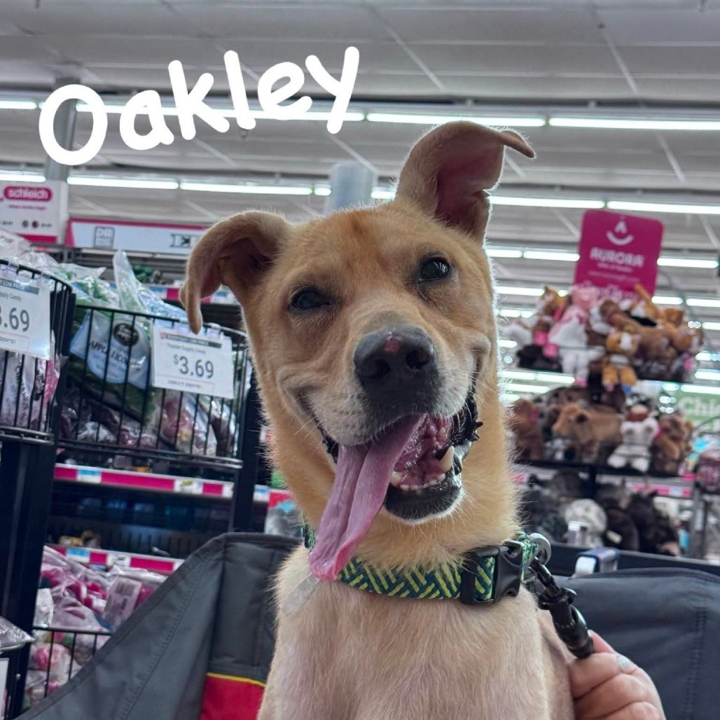 Oakley.png