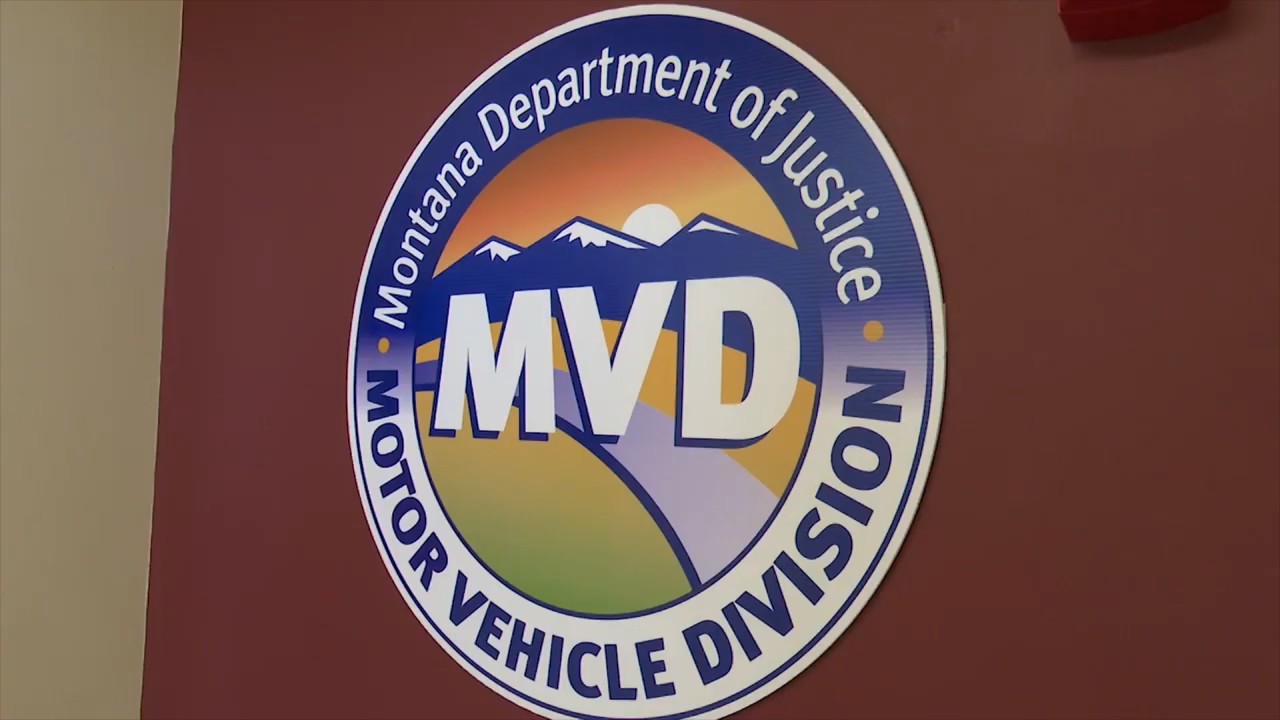 Motor Vehicle Division