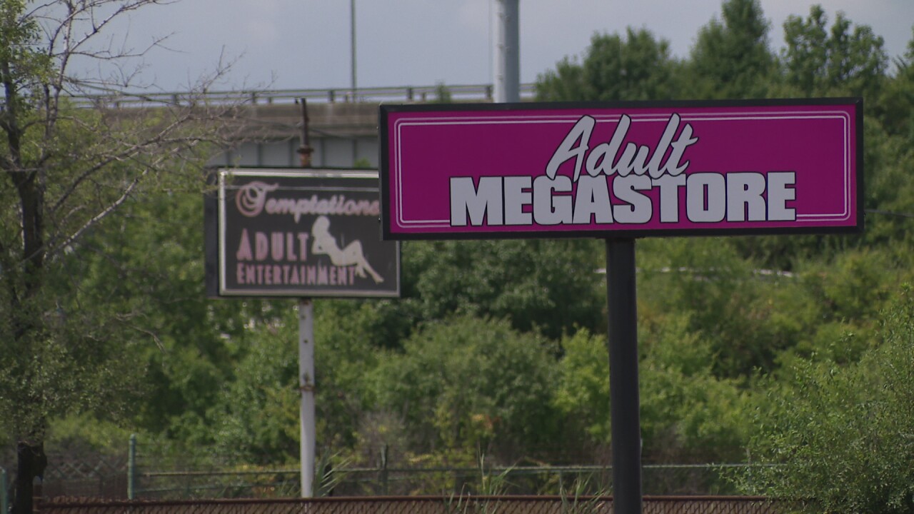 The lineup of businesses on Brookpark Road includes the Adult Megastore and strip clubs - some still operating, others shuttered.