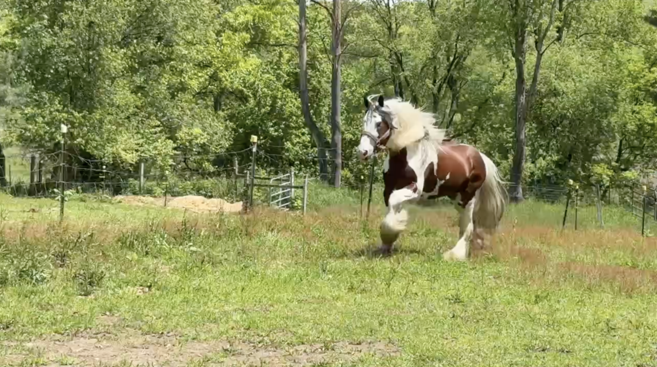 Screenshot 2025-11-02 at 5.03.49 PM.png