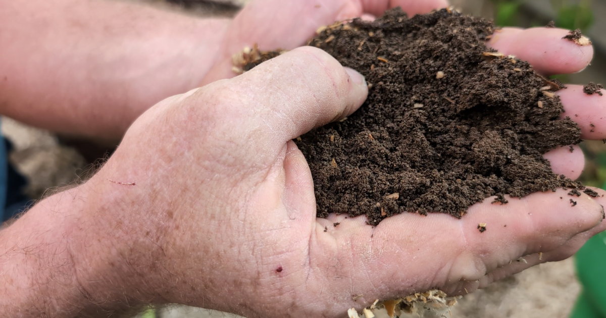 Montana ranchers grow local options with greenhouse - Vimarsana News