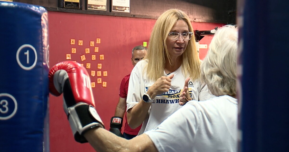 Rock Steady Boxing Fishhawk helps Parkinson's patients fight back one punch at a time
