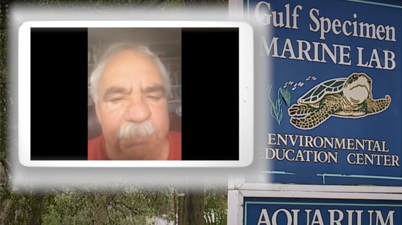 Jack Rudloe of Gulf Specimen Marine Lab on Zoom