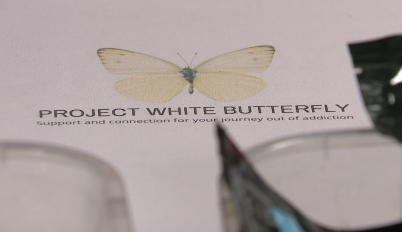 Project White Butterfly