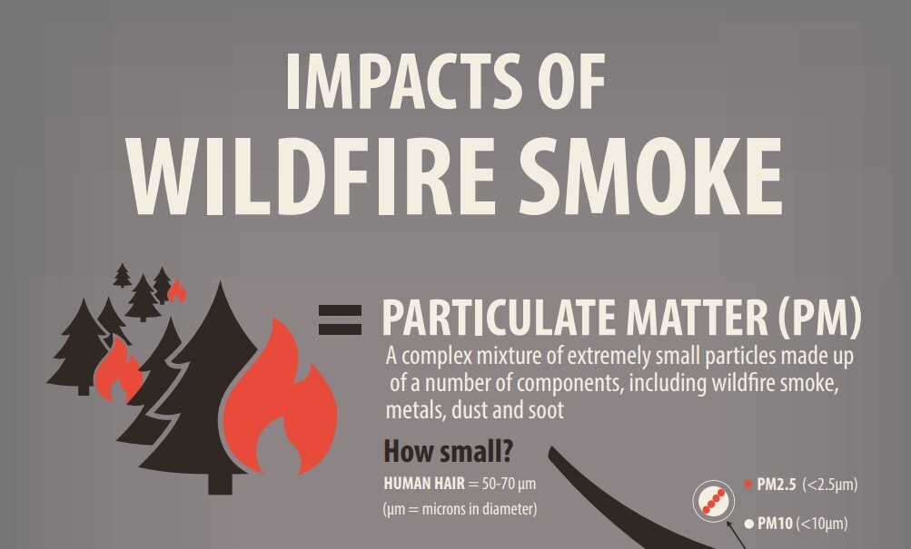 Impacts of Wildfire Smoke Infographic