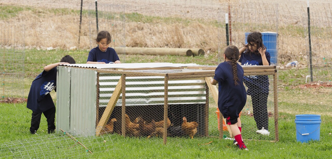 Tribal farm education near Winnebago, NE