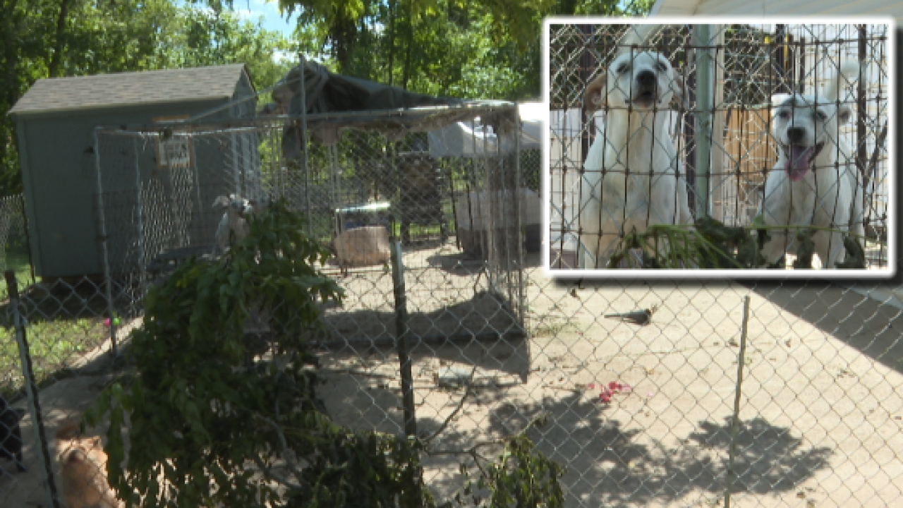 'Help us': Tornado damages Owen County animal rescue, leaves 15 dogs missing