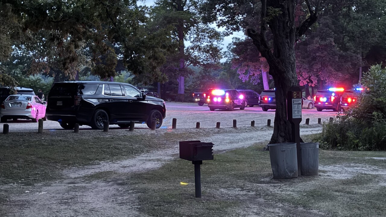 Long Lake Park Drowning