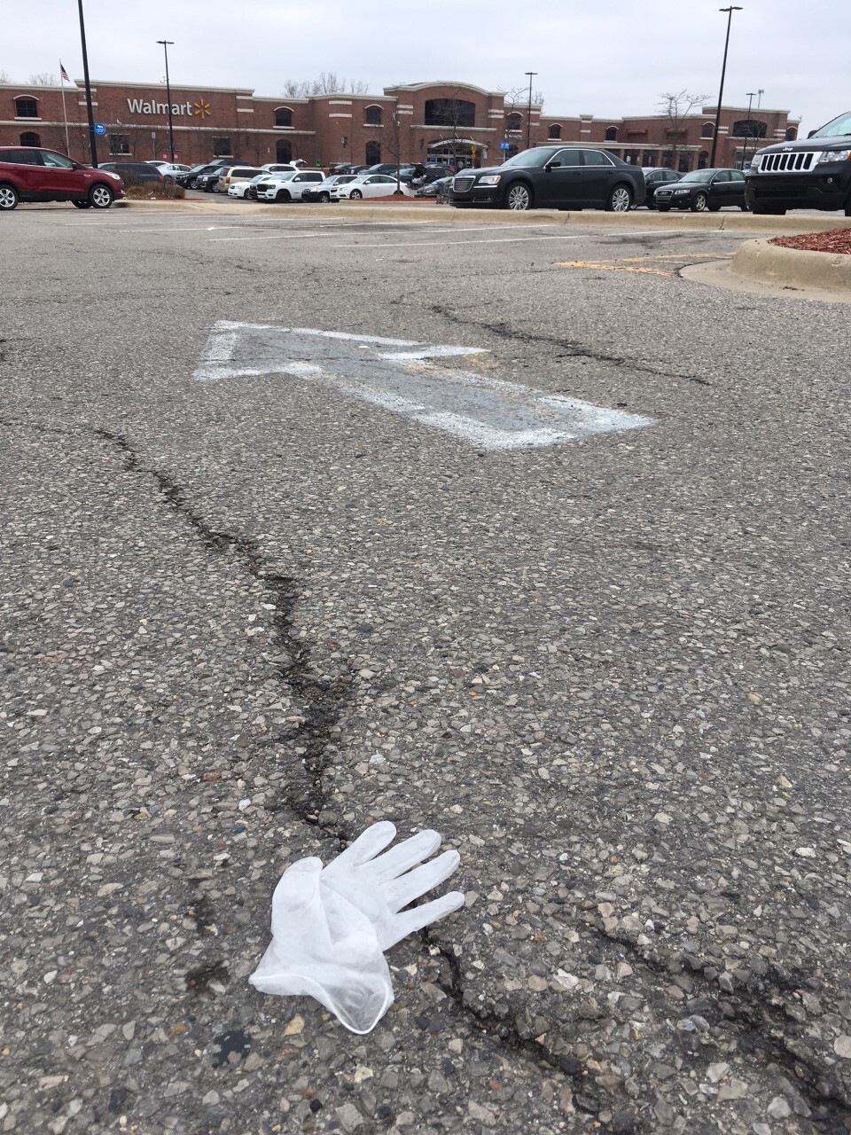 Walmart gloves 1.jpg