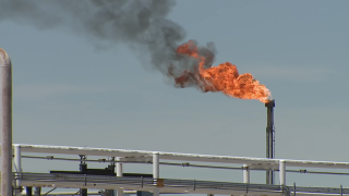 SUNCOR.png