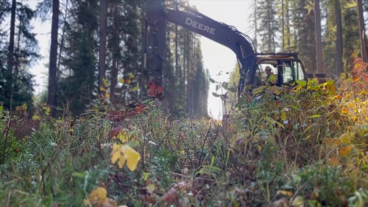 West Glacier Fire Wildfire Mitigation