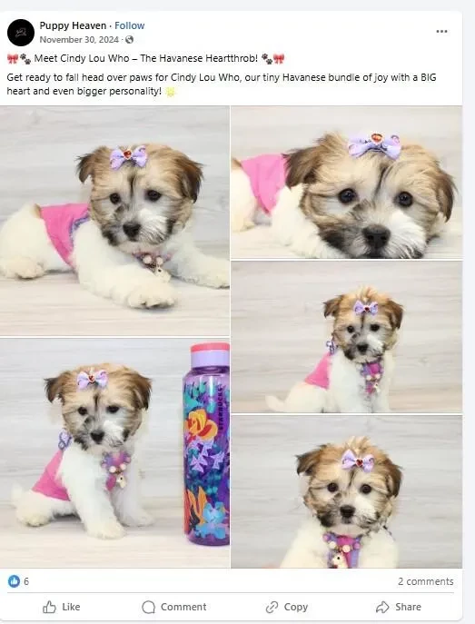 Cindy Lou Facebook post