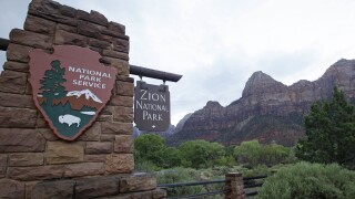 Zion Trail