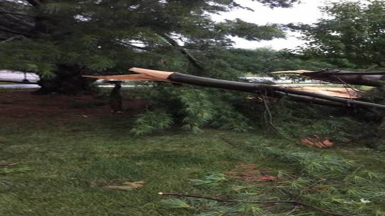 PHOTOS: Ominous skies and storm damage