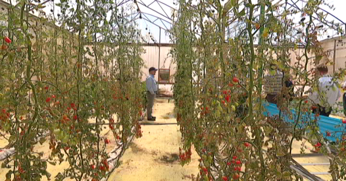 Lawmakers look to import some Israeli water policies to Utah - Vimarsana News