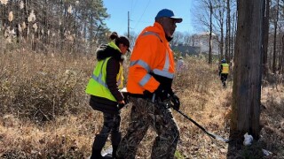 codi search feb 19.jpg