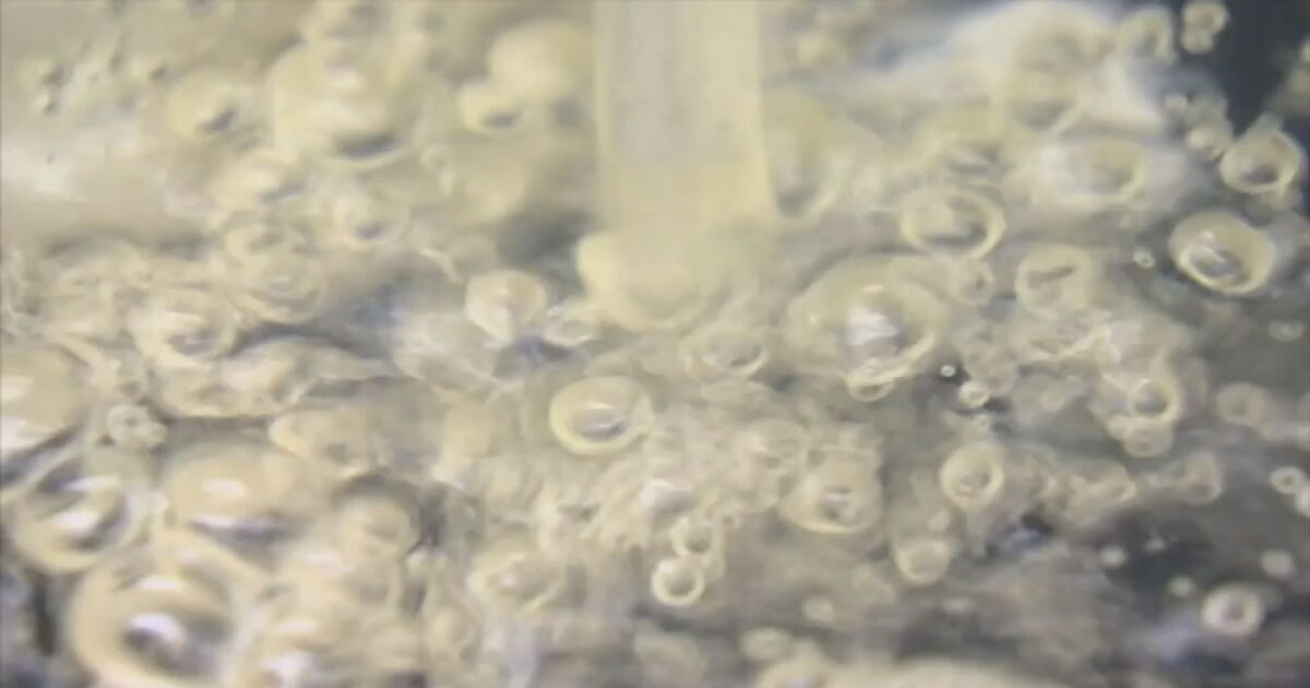 Some Turkey Creek Residents are Under a Boil Water Advisory - Vimarsana News